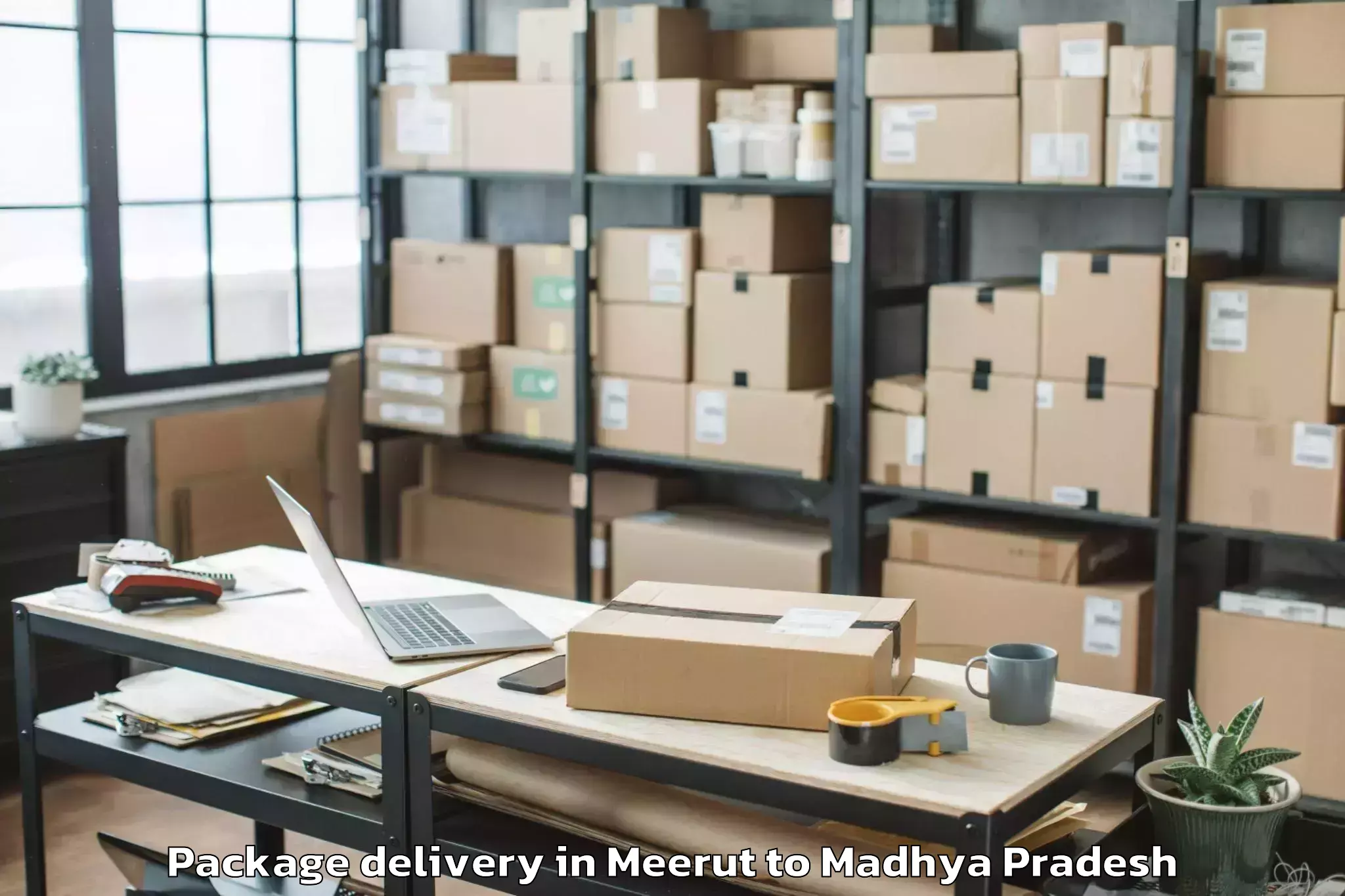 Easy Meerut to Ganj Basoda Package Delivery Booking